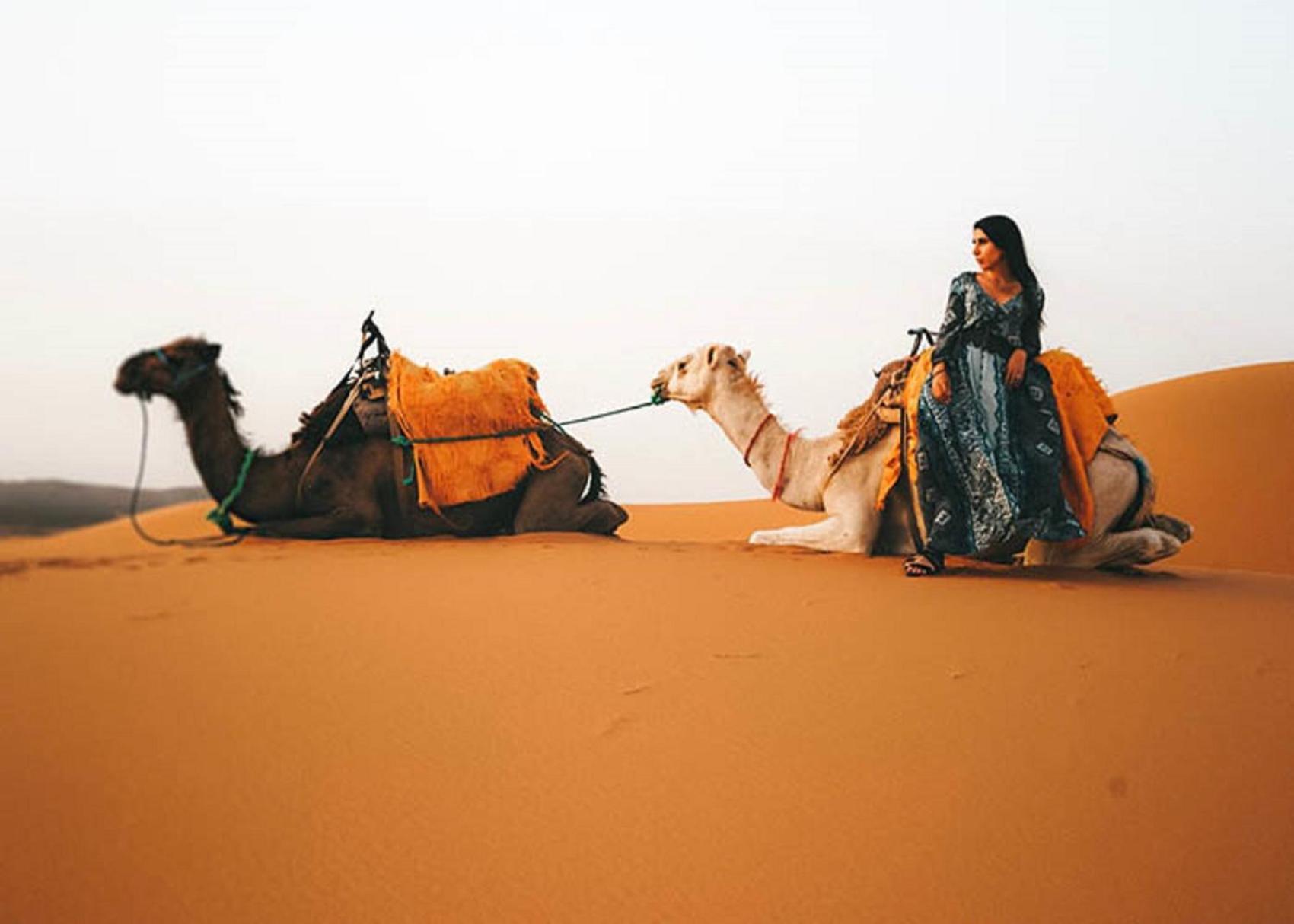 Desert Camp Nights Luxury tent 5*