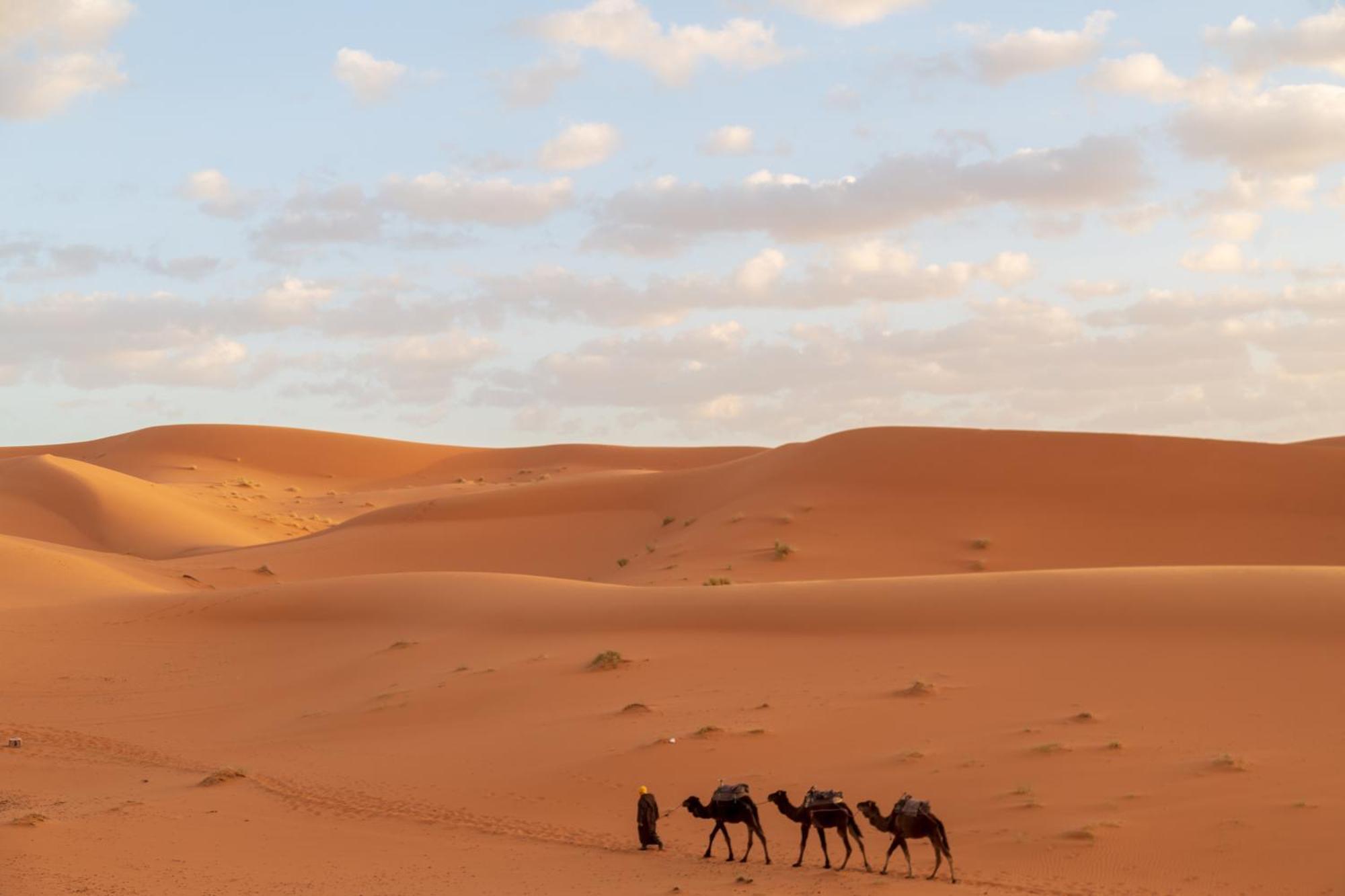 Desert Camp Nights 5*